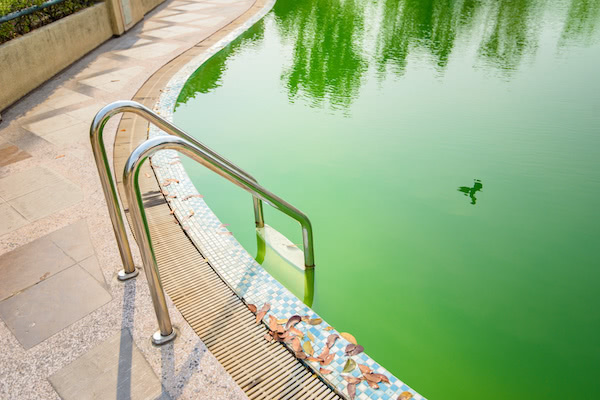 Poolreinigung